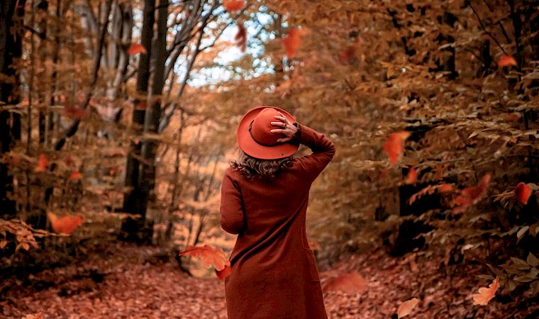A person in an autumn forest in a red hat throws orange leaves into the air, smiling through the falling fall foliage.